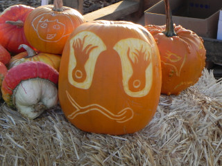 Fire Ball Jr carved Pumpkin,  Nipomo Pumpkin Patch best carving idea